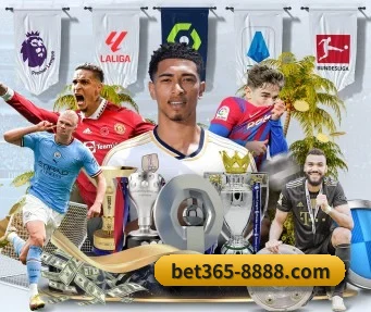 bet365 APP 界面